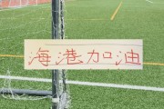 开云体育下载-海港跟山东泰山热身赛大比分输球！主要还是阵容不整
